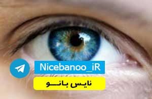 دانلود رمان شوکران هوس از مسیحه زادخو