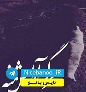 دانلود رمان امپراطوری به نام آل ویژه 