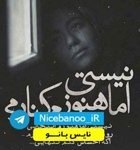 دانلود رمان چرا نگفتم عاشقم 
