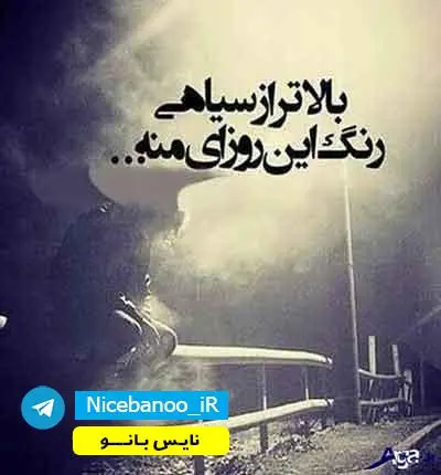 دانلود رمان شب نما