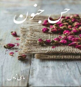 دانلود رمان  حس جنون 