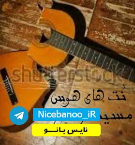 دانلود رمان نت های هوس از مسیحه زادخو