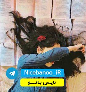 دانلود رمان دربست تا عاشقی از ماری