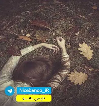 دانلود رمان جناب رئیس از بهار حلوائی