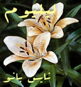 دانلود رمان لیلیوم