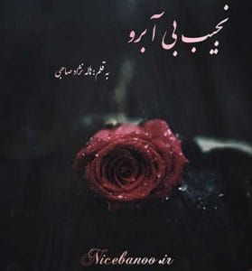 دانلود رمان نجیب بی آبرو