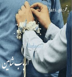 دانلود رمان ارباب شاهین از فاطمه غلامی