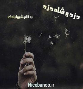 دانلود رمان دزد و شاه دزد