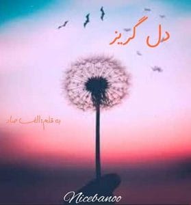 دانلود رمان دل گریز از الف صاد