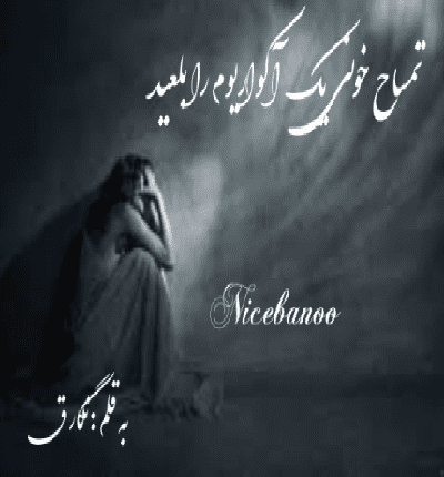 دانلود رمان تمساح خونی یک آکواریوم را بلعید از نگار ق