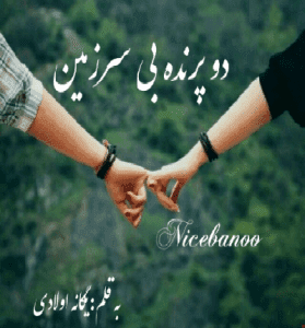 دانلود رمان دو پرنده بی سرزمين از یگانه اولادی