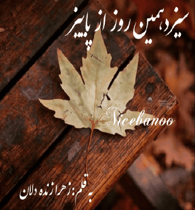 دانلود رمان سیزدهمین روز از پاییز از زهرا زنده دلان