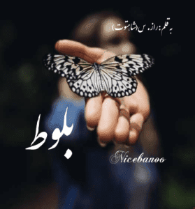 دانلود رمان بلوط از راز. س
