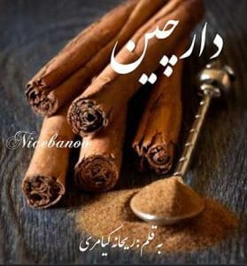 دانلود رمان دارچین از ریحانه کیامری