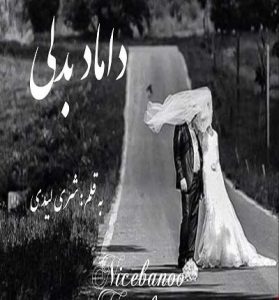 دانلود رمان داماد بدلی از شری لیدی