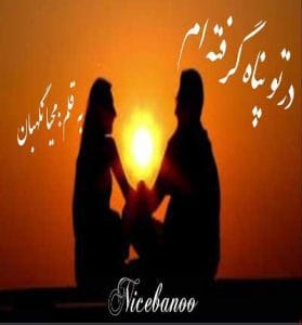 دانلود رمان در تو پناه گرفته ام از محیا نگهبان