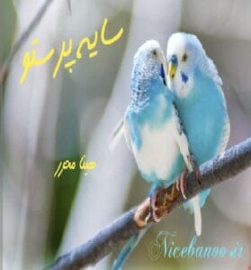 دانلود رمان سایه پرستو از هینا محرر