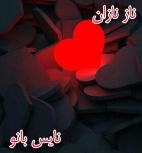 دانلود رمان ناز نازان از نیلوفر لاری