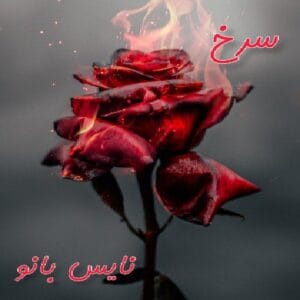 دانلود رمان سرخ (گلگون) از رعنا و پرستو س
