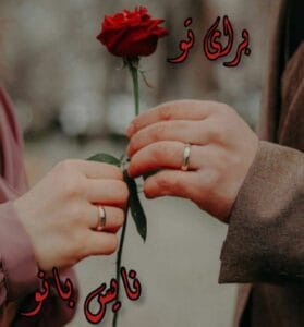 دانلود رمان برای تو از رویا