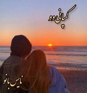 دانلود رمان کمپانی وو از ناشناس
