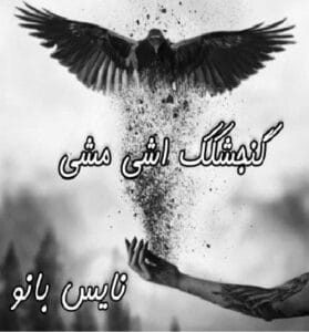 دانلود رمان گنجشکک اشی مشی از تهمینه