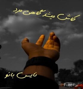دانلود رمان کاش میشد گاهی مرد از پریسا دولتی