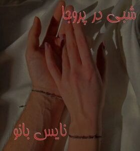 دانلود رمان شبی در پروجا از سارا انضباطی