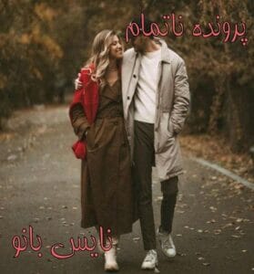 دانلود رمان پرونده ناتمام از الهه محمدی