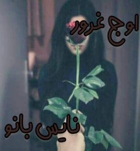 دانلود رمان اوج غرور از هایده حائری 