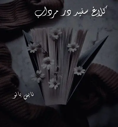 دانلود رمان کلاغ سفید در مرداب از بهار سلطانی
