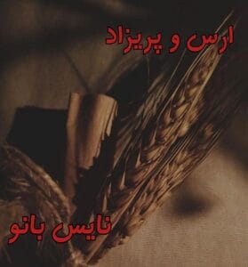 دانلود رمان ارس و پریزاد از زینب رستمی