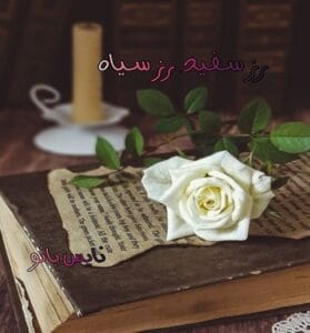 دانلود رمان رز سفید رز سیاه از ترانه بانو