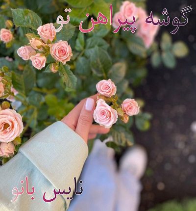 دانلود رمان گوشه پیراهن تو از مریم سلطانی با لینک مستقیم دانلود رمان گوشه پیراهن تو از مریم سلطانی با لینک مستقیم
