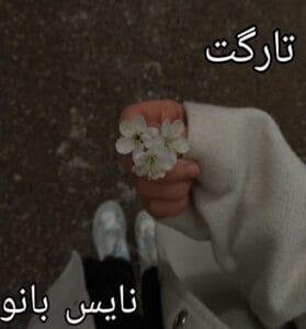 دانلود رمان تارگت از گیسو خزان با لینک مستقیم