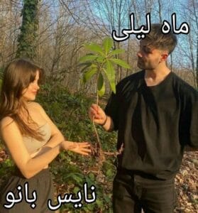 دانلود رمان ماه لیلی از الهه آقا علیپور با لینک مستقیم
