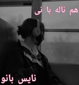 دانلود رمان هم ناله با نی از مهدیه عشرتی با لینک مستقیم