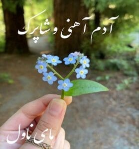 دانلود رمان آدم آهنی و شاپرک از ناشناس با لینک مستقیم