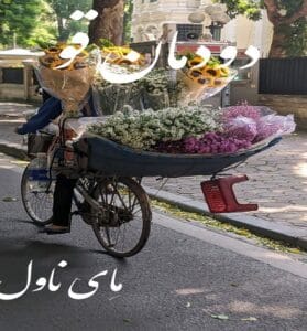 دانلود رمان دودمان قو از منیر کاظمی با لینک مستقیم