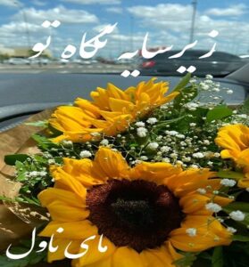 دانلود رمان زیر سایه نگاه تو از آوا با لینک مستقیم