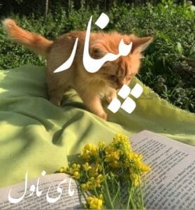 دانلود رمان پینار از ریحانه کیامری با لینک مستقیم