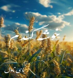 دانلود رمان خوشه گندم از مریم پیروند با لینک مستقیم
