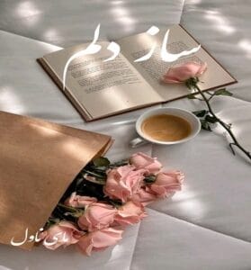 دانلود رمان ساز دلم از فاطمه زارعی با لینک مستقیم