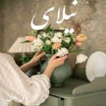 دانلود رمان نیلای از پریناز عباسی با لینک مستقیم
