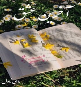 دانلود رمان آخرین عشق (انتخاب آخر) از عالیس و الناز با لینک مستقیم