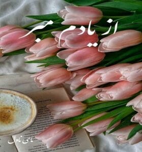دانلود رمان از یادم مبر از آیلار سبحانی با لینک مستقیم