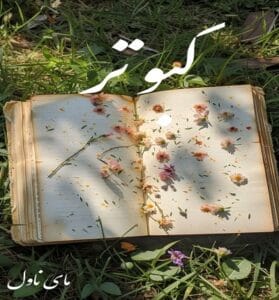 دانلود رمان کبوتر از فاطی با لینک مستقیم