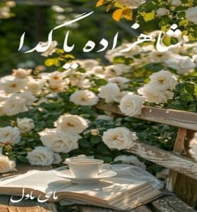 دانلود رمان شاهزاده یا گدا از زهرا با لینک مستقیم