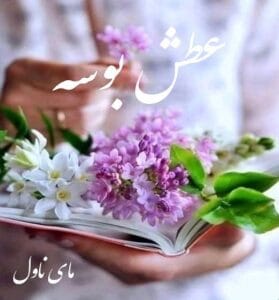دانلود رمان عطش بوسه از فاطمه خمیسی با لینک مستقیم
