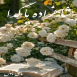 دانلود رمان شاهزاده یا گدا از زهرا  با لینک مستقیم